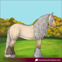 Horse Color:Silver Buckskin Roan Dun Tobiano