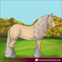 Horse Color:Palomino Dun Tobiano 