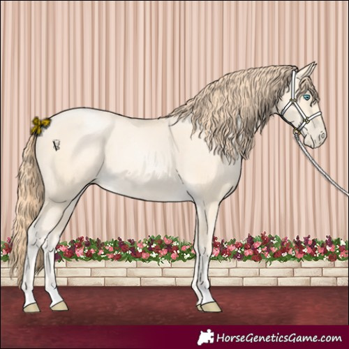 Horse Color:Amber Cream Champagne Pearl 