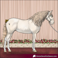 Horse Color:Amber Cream Champagne Pearl 