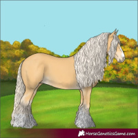 Horse Color:Palomino