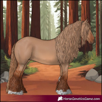 Horse Color:Red Dun 