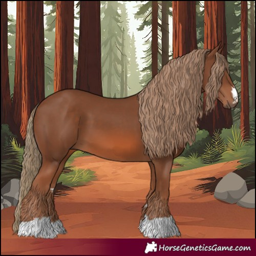 Horse Color:Chestnut 
