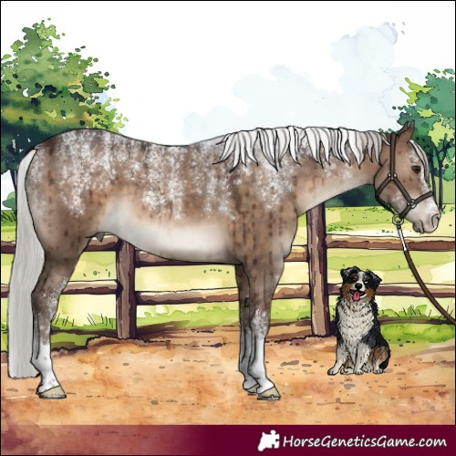 Horse Color:Powder White Silver Brown Dun Brindle 