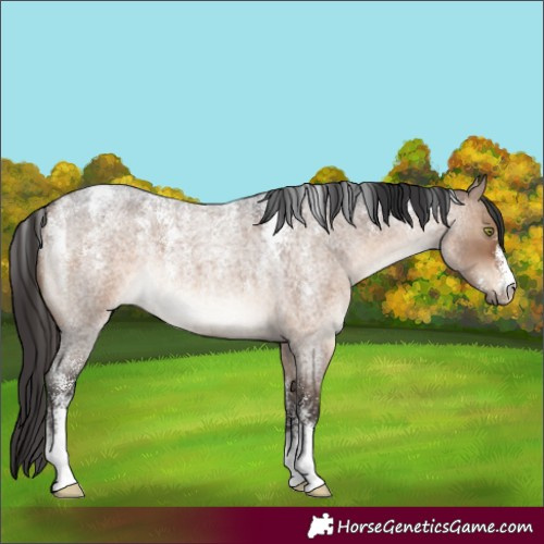 Horse Color:Powder White Brown Roan Dun 