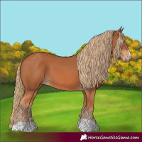 Horse Color:Chestnut 