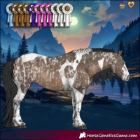 Horse Color:White Spotted Smoky Grullo Roan  and White Spotted Brown Dun Tobiano Rabicano 
