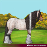 Horse Color:Bay Roan Tobiano