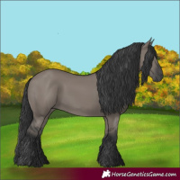 Horse Color:Grullo