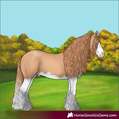 Horse Color:Gold Champagne Splash 