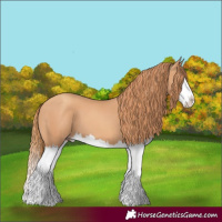 Horse Color:Gold Champagne Splash