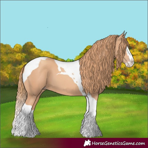 Horse Color:Gold Champagne Splash Tobiano 