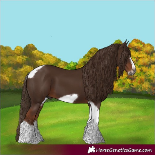 Horse Color:Gray Chestnut Tobiano Frame 