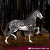 Horse Color:White Spotted Smoky Black Splash Frame 