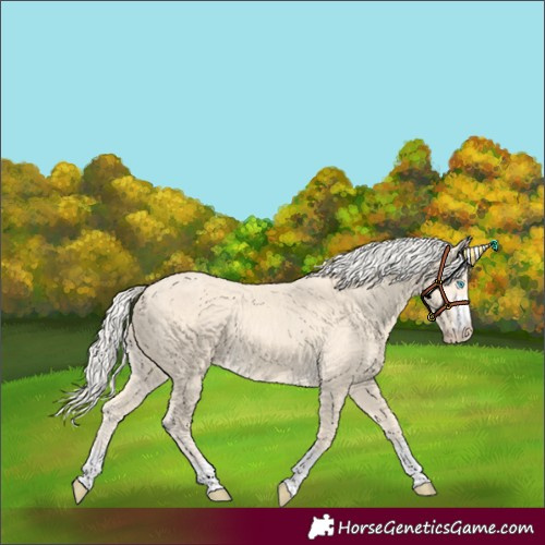 Horse Color:Cremello 