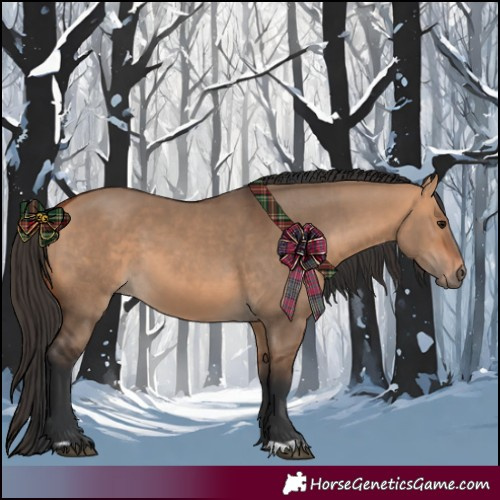 Horse Color:Bay Dun  and Bay Dun 