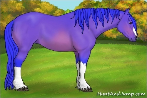 Horse Color:Watercolor Bay 
