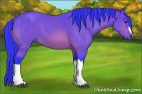 Horse Color:Watercolor Bay 