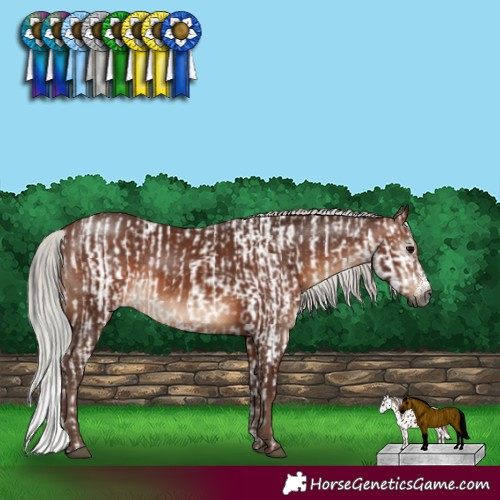 Horse Color:Gray Brown Sabino Near Fewspot Rabicano  and Silver Brown Sabino Rabicano 