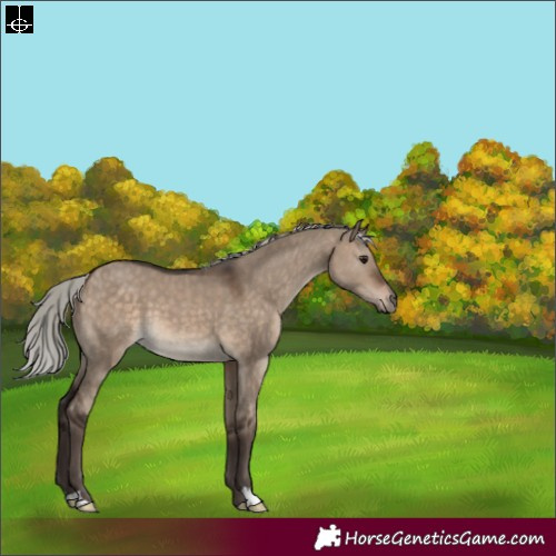 Horse Color:Silver Brown Dun 
