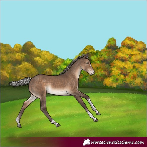 Horse Color:Silver Brown Dun Sabino Tobiano