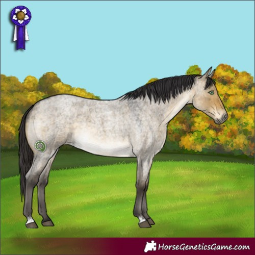 Horse Color:Buckskin Roan Dun 
