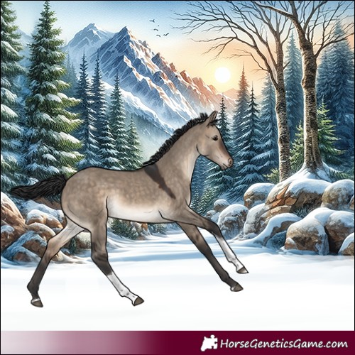 Horse Color:White Spotted Brown Dun Tobiano 