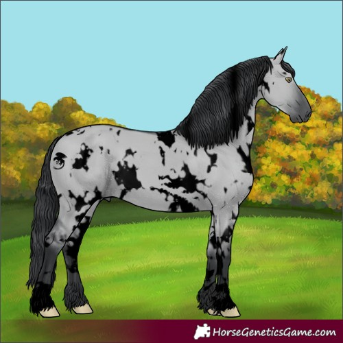 Horse Color:Void White Spotted Grullo Chinchilla 