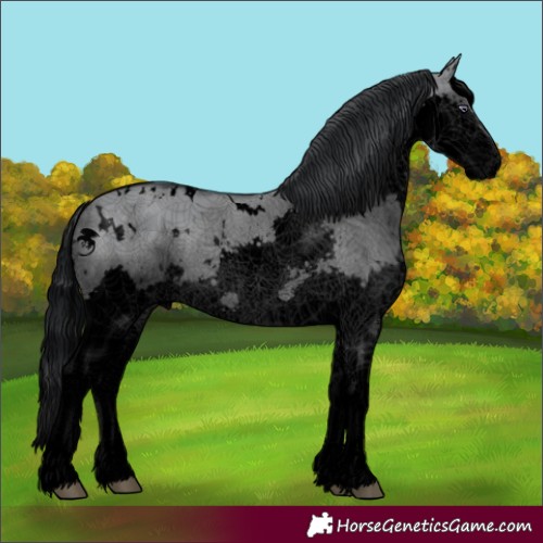 Horse Color:Void White Spotted Grullo Chinchilla Splash 