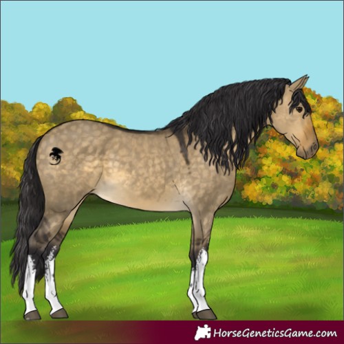 Horse Color:White Spotted Buckskin Dun 