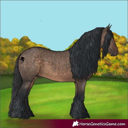Horse Color:Brown Dun 