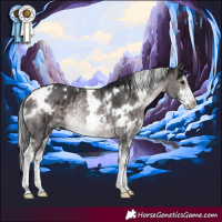Horse Color:Platinum White Spotted Brown Dun Sabino Rabicano Brindle 