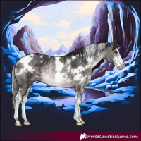 Horse Color:Platinum White Spotted Brown Dun Sabino Rabicano Brindle 
