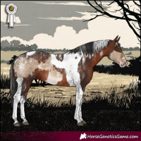 Horse Color:Powder White Silver Brown Dun Tobiano Rabicano  and Powder White Brown Tobiano Rabicano 