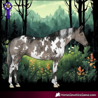 Horse Color:Gray White Spotted Smoky Grullo Brindle 