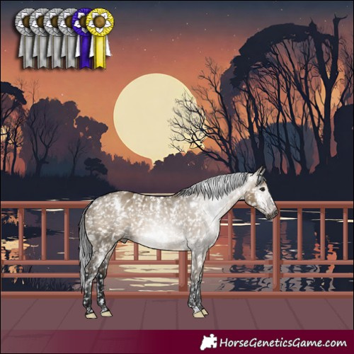 Horse Color:Gray White Spotted Brown Dun Appaloosa Rabicano 