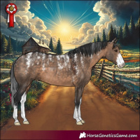 Horse Color:Powder White Brown Dun Sabino