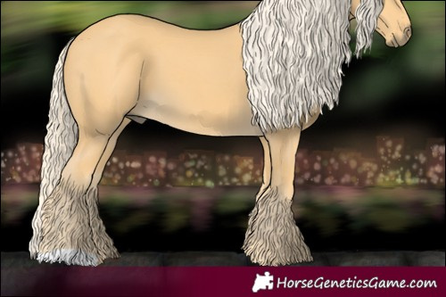 Horse Color:Palomino 