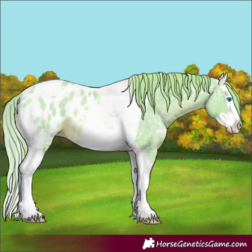 Horse Color:Watercolor Chestnut Ice Splash Tobiano Near Leopard