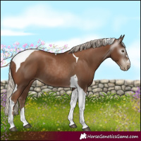 Horse Color:Gray Silver Black Pearl Tobiano 