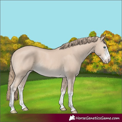 Horse Color:Smoky Creme 