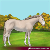 Horse Color:Smoky Creme