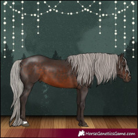 Horse Color:Silver Brown