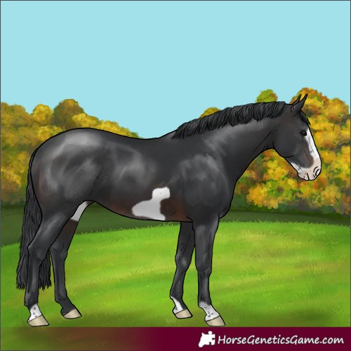 Horse Color:Brown Frame 