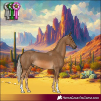 Horse Color:Chocolate Palomino 