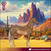 Horse Color:Chocolate Palomino