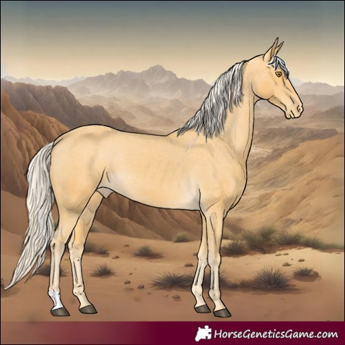 Horse Color:Palomino Varnish 