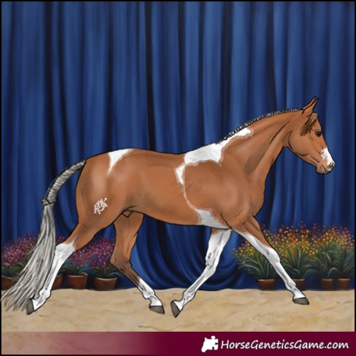 Horse Color:Silver Bay Tobiano 