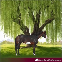 Horse Color:Brown Frame 