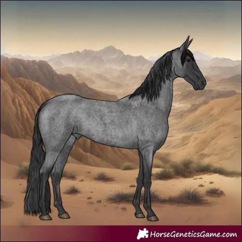 Horse Color:Blue Roan 
